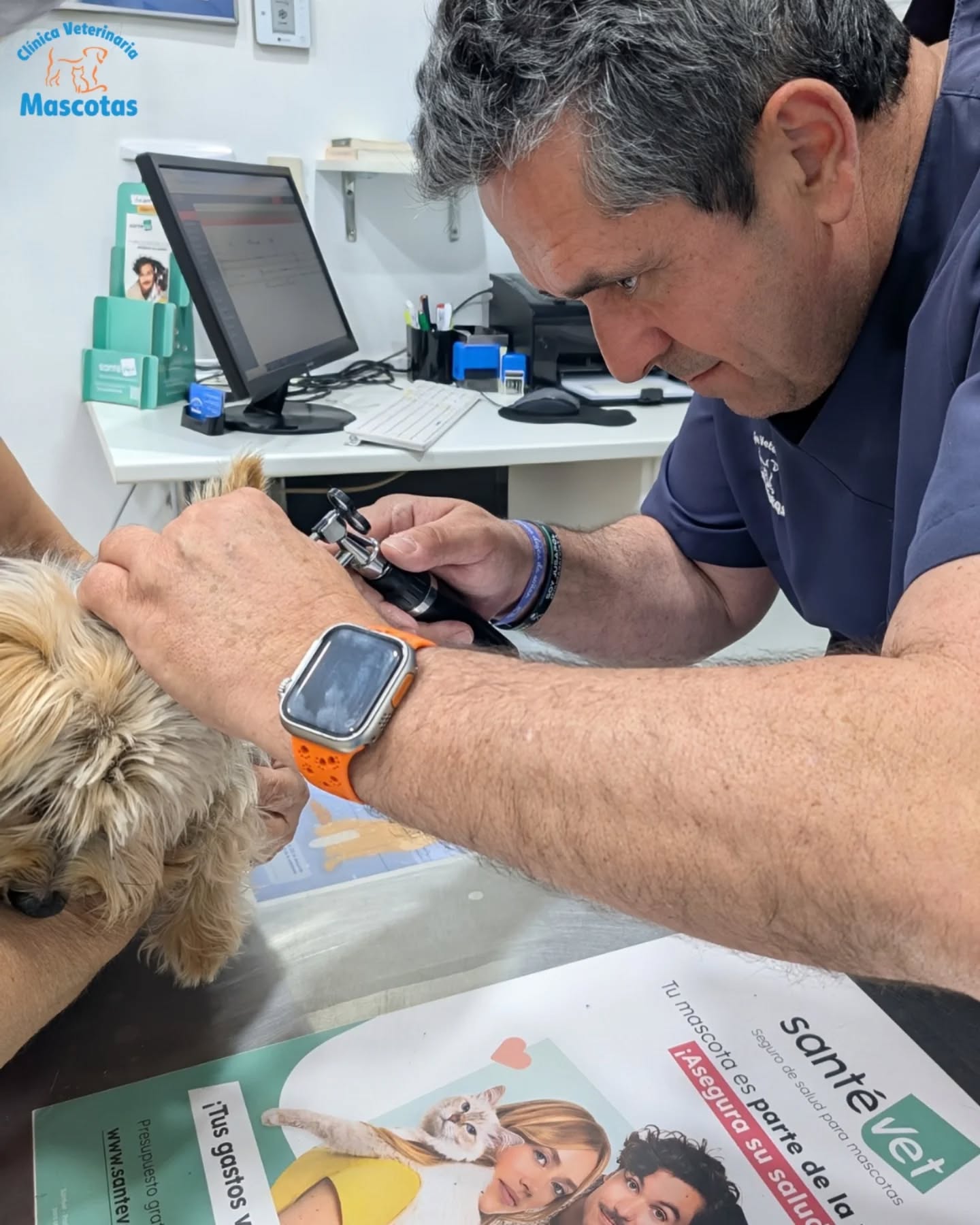 Consulta Veterinaria Oviedo