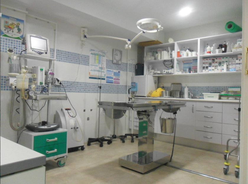 Quirofano Veterinario Oviedo
