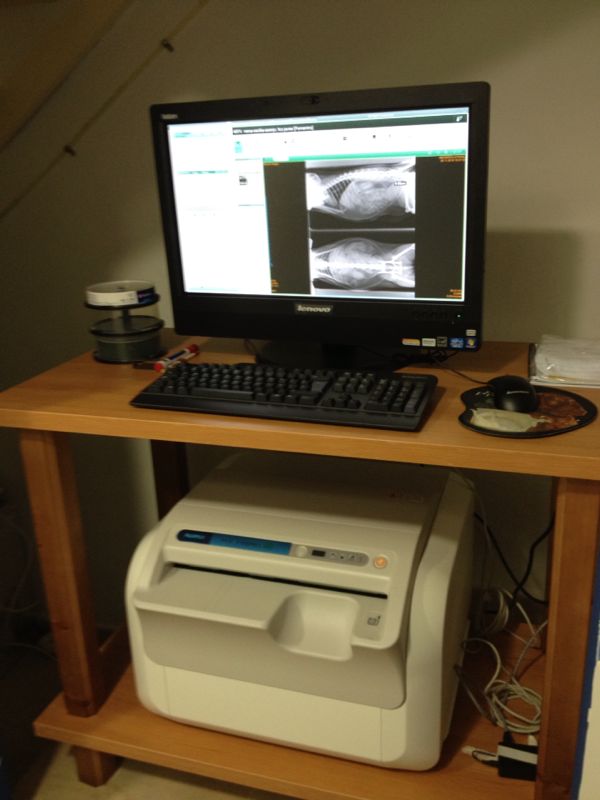 Radiologia Veterinaria Oviedo