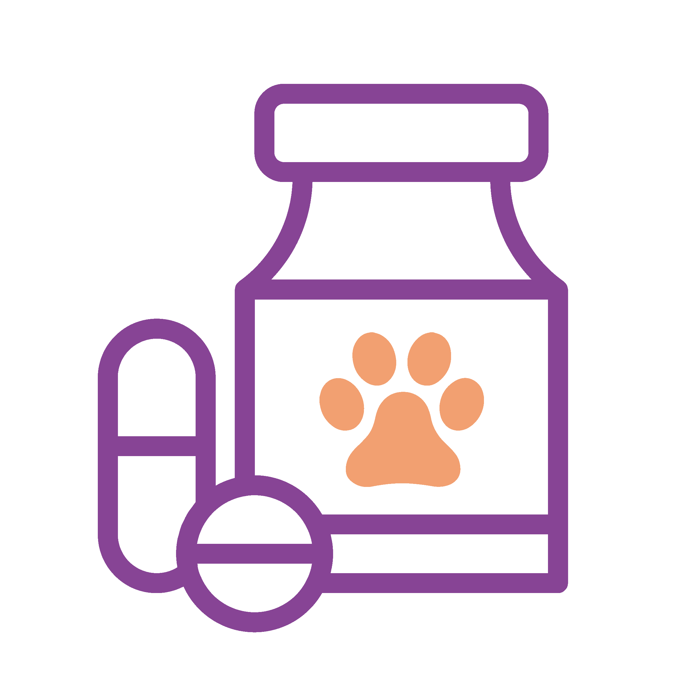 Medicina Veterinaria Felina