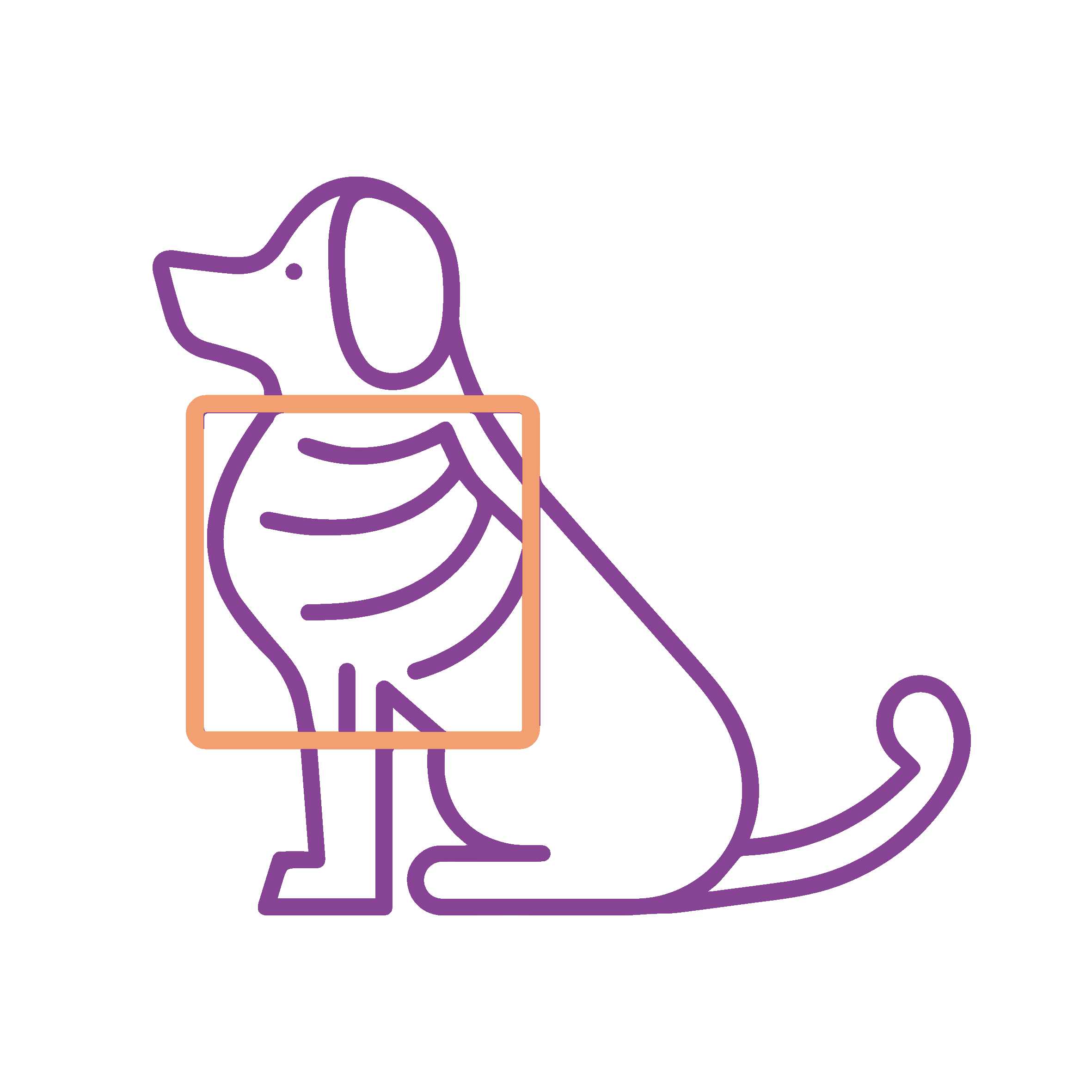 Oncologia Veterinaria