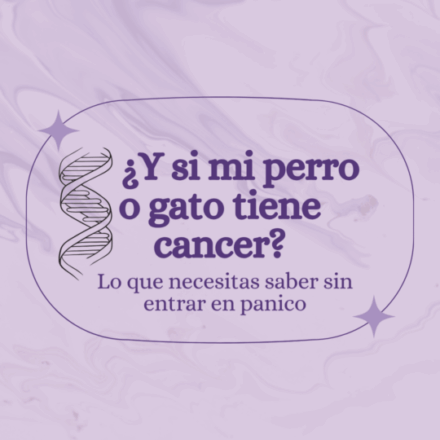 Y si mi perro o gato tiene cancer